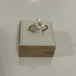 Orchidée